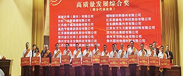 长虹三杰喜获泰兴市工业企业高质量发展综合奖等四项荣誉表彰